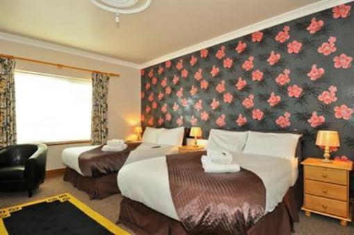 фото отеля The Rise Guesthouse