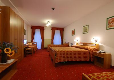 фото отеля Hotel Adamello Ponte di Legno