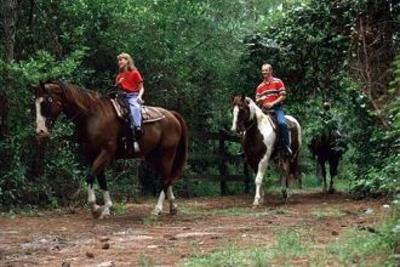 фото отеля Disney's Fort Wilderness Resort and Campground