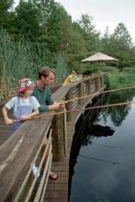 фото отеля Disney's Fort Wilderness Resort and Campground