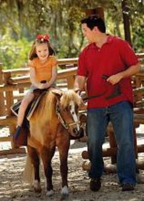 фото отеля Disney's Fort Wilderness Resort and Campground