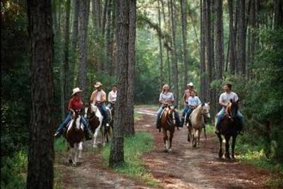 фото отеля Disney's Fort Wilderness Resort and Campground