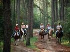 фото отеля Disney's Fort Wilderness Resort and Campground