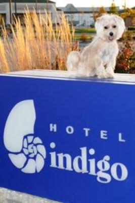 фото отеля Hotel Indigo Fishers - Indy's Uptown