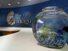 фото отеля Hotel Indigo Fishers - Indy's Uptown