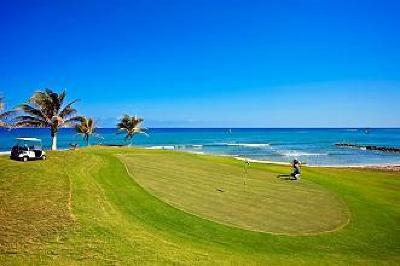 фото отеля Iberostar Rose Hall Beach Hotel