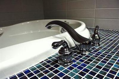 фото отеля Holiday Inn Express Hotel & Suites Langley