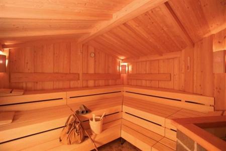 фото отеля Excelsior Mountain Style Spa Resort