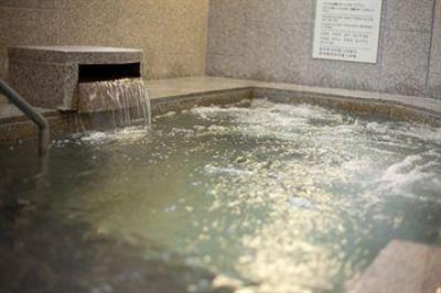 фото отеля Art Hotel Sapporo