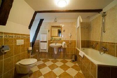фото отеля Hotel Cerny Slon (Black Elephant)
