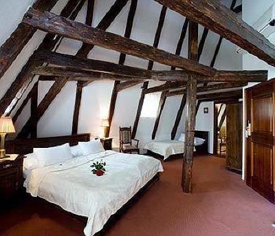 фото отеля Hotel Cerny Slon (Black Elephant)