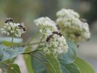 достопримечательность Botanical Park Of Crete - фото туристов