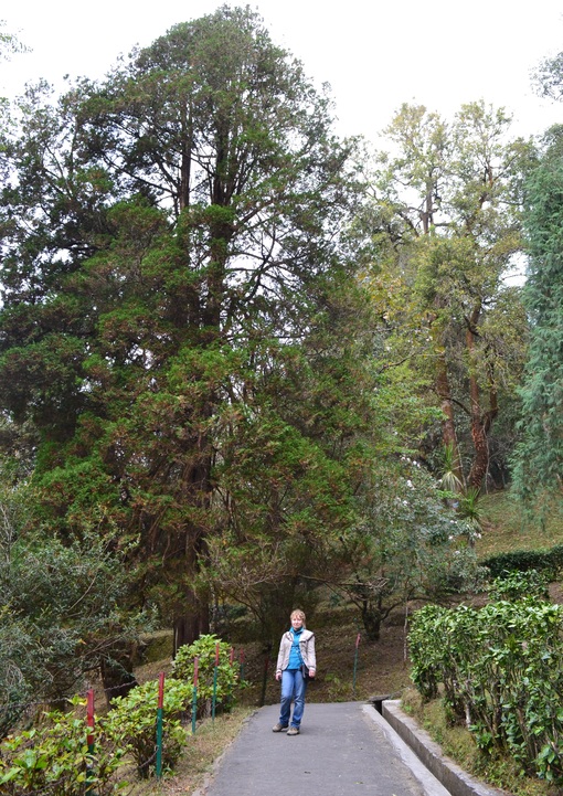 достопримечательность Lloyd Botanical Garden - фото туристов