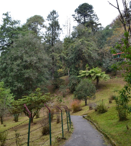 достопримечательность Lloyd Botanical Garden - фото туристов