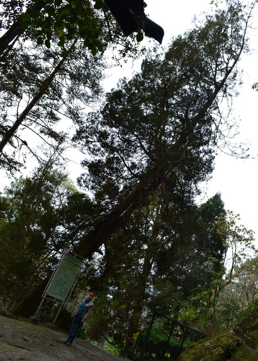 достопримечательность Lloyd Botanical Garden - фото туристов