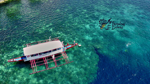 достопримечательность Tropical Divers Dive Center - фото туристов