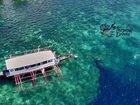 достопримечательность Tropical Divers Dive Center - фото туристов