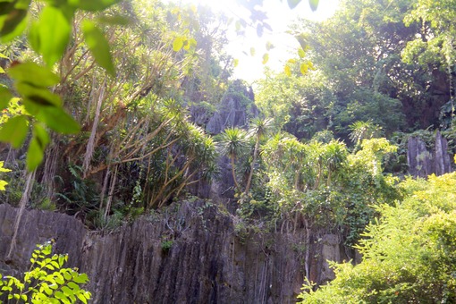 достопримечательность Phnom Kampong Trach Cave - фото туристов