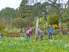 достопримечательность Happy Valley Gardens - фото туристов